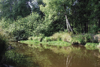 zolotov_3.jpg