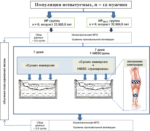 Стимуляция клостилбегитом схема