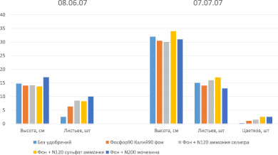 alim3.wmf