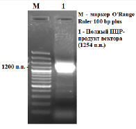 missing image file