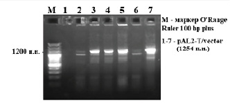 missing image file