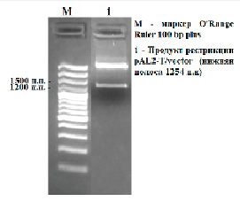 missing image file